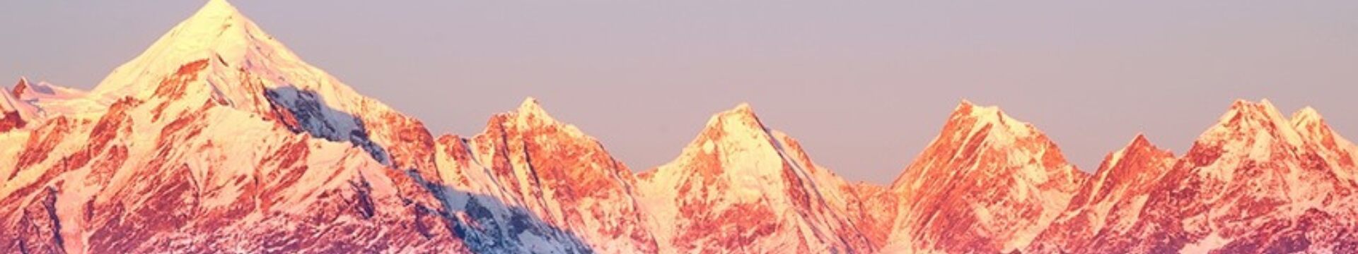 cover image of pink salt mountain