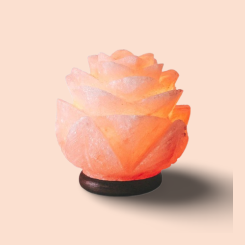 Himalayan Salt Lamp Flower Shape