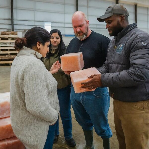 Partner with Salt bliss - livestock feed