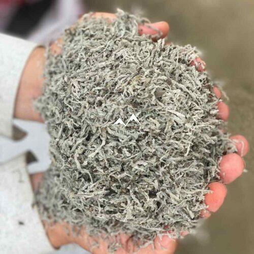 Beep Pulp Sugar Beet Pulp for Livestock | High-Quality Feed Additive