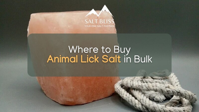Buy Animal Lick Salt in Bulk