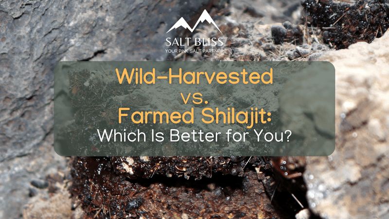 Wild-Harvested Shilajit vs Farmed Shilajit